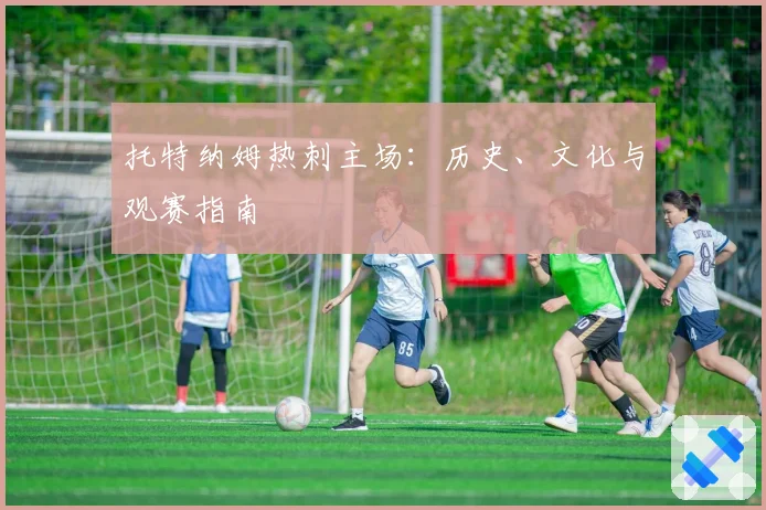 托特纳姆热刺主场：历史、文化与观赛指南